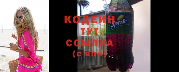 дживик Чегем