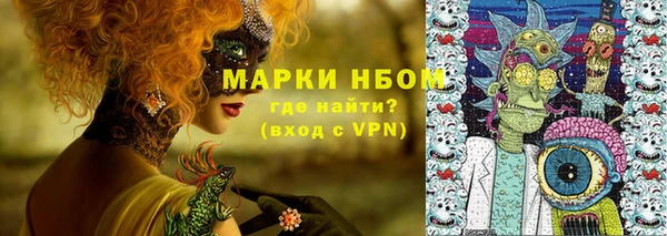 крисы Касимов