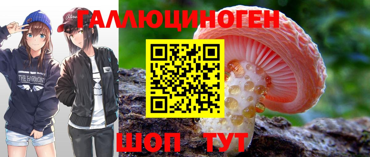 Галлюциногенные грибы прущие грибы Пенза