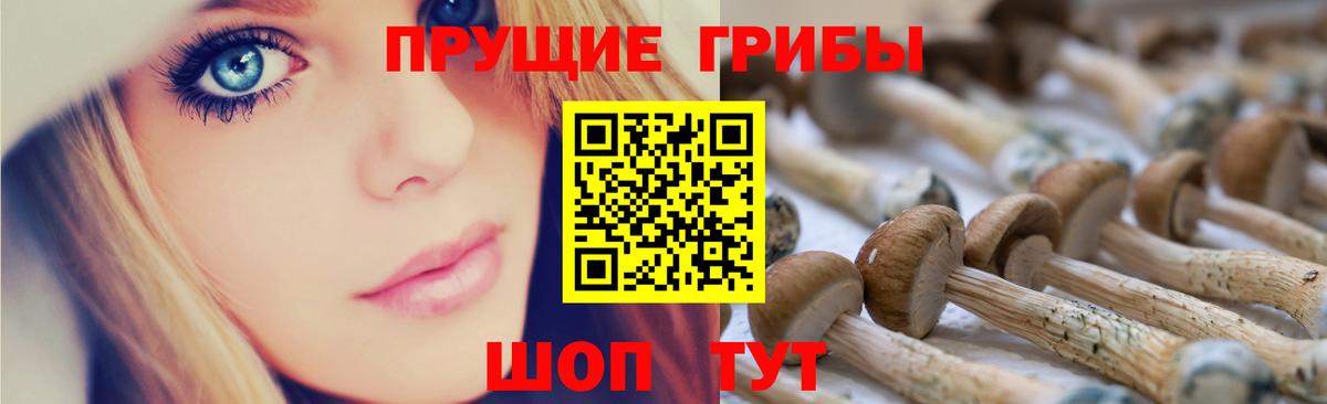 Пенза  Псилоцибиновые грибы GOLDEN TEACHER  Вход с VPN 