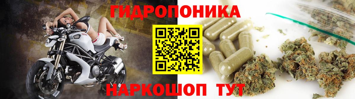 МАРИХУАНА Ganja Пенза